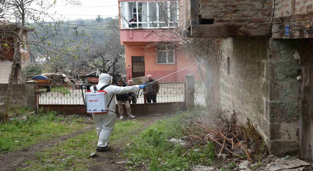 Atakumda kahverengi kokarca ile mücadele çalışması