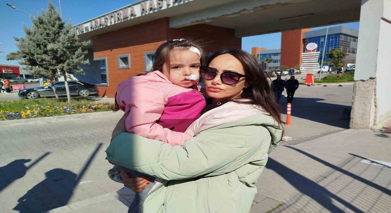 AVMde sahipsiz köpeğin 3 yaşındaki çocuğa saldırı anı kamerada