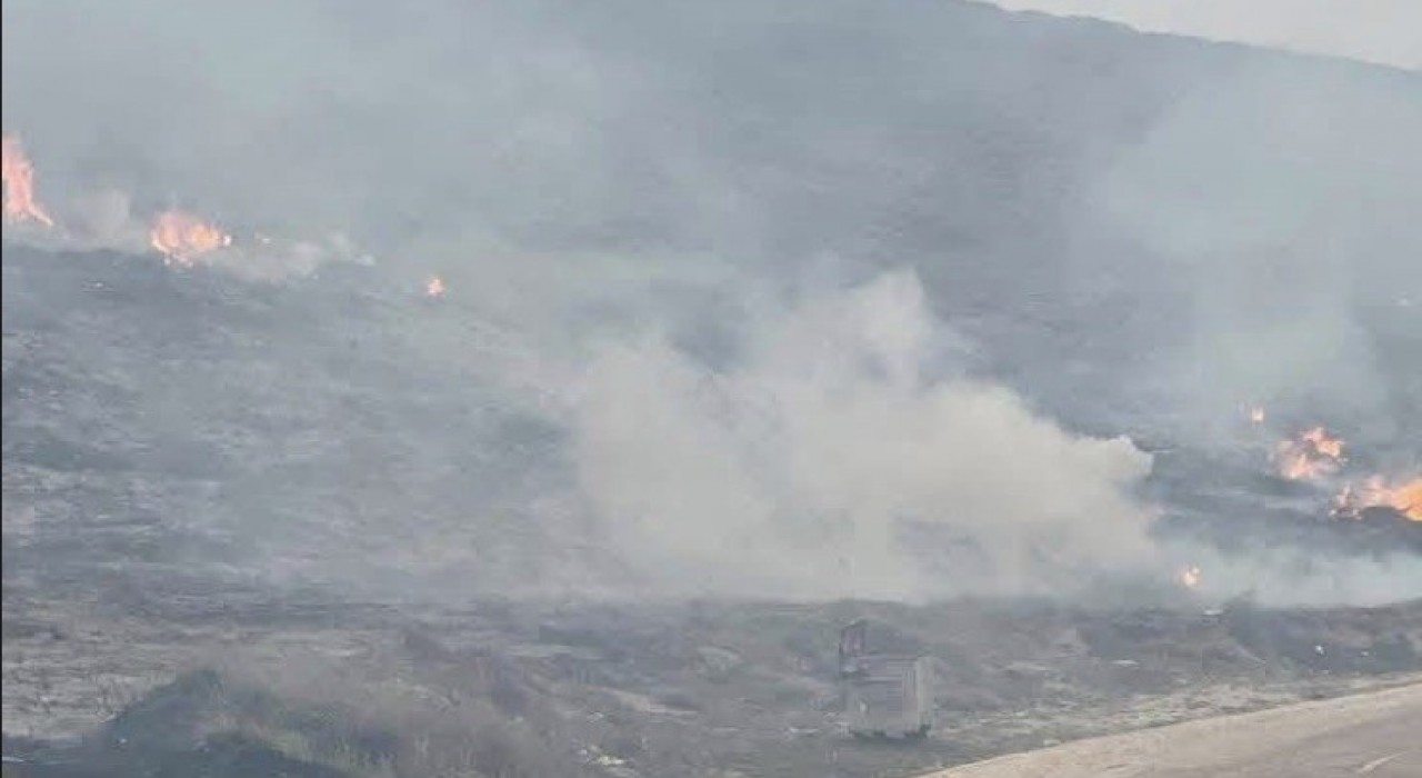 Avşa Adasında çıkan yangın kontrol altına alındı