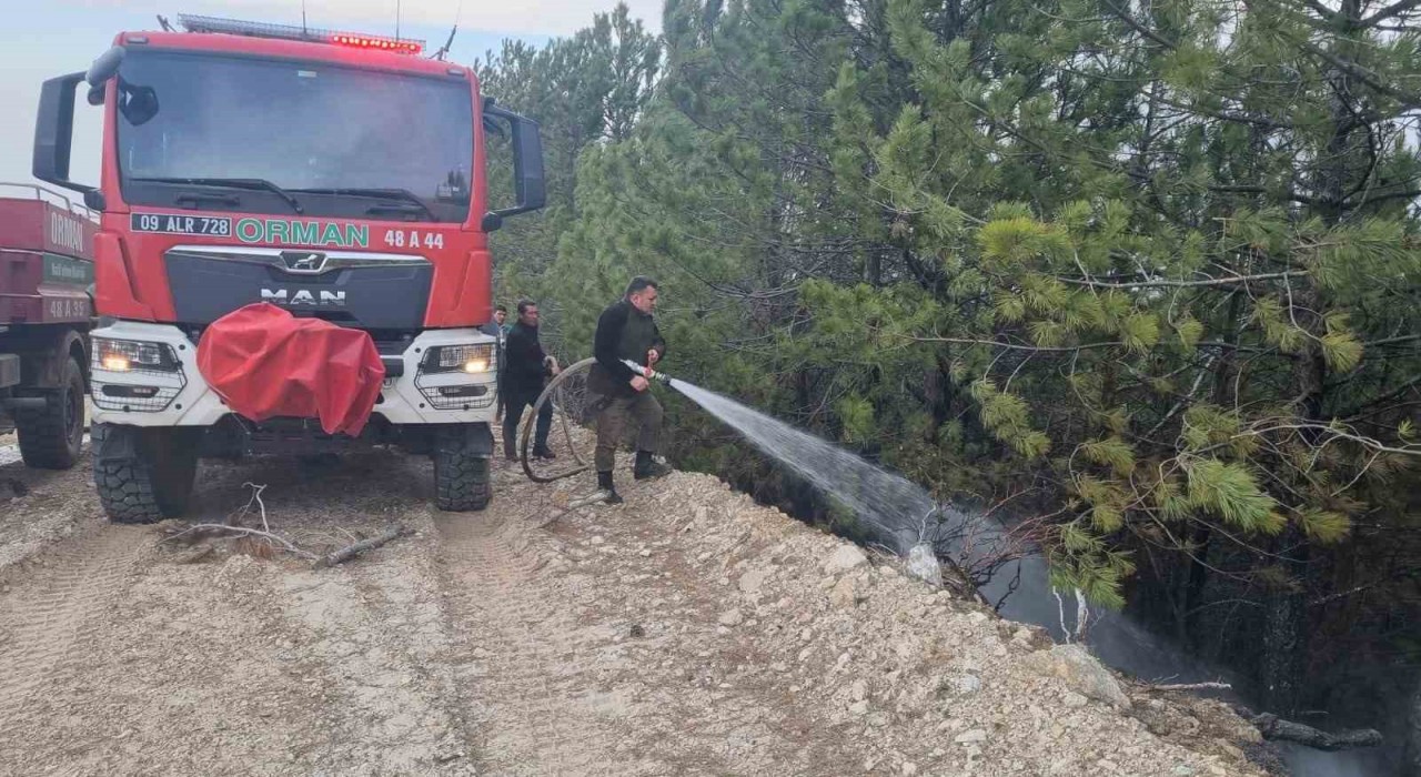 Aydındaki orman yangını kontrol altına alındı