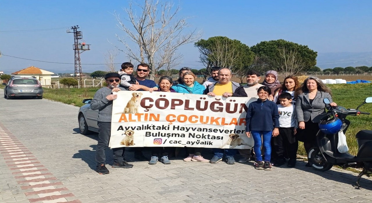Ayvalıkta hayvanseverler kuruyan ağaçların yerine yeni fidanlar dikti