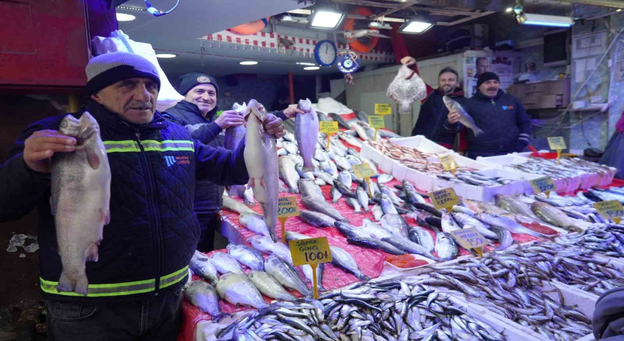 Balıkçılar 7 sezonda bir gelen bolluktan memnun