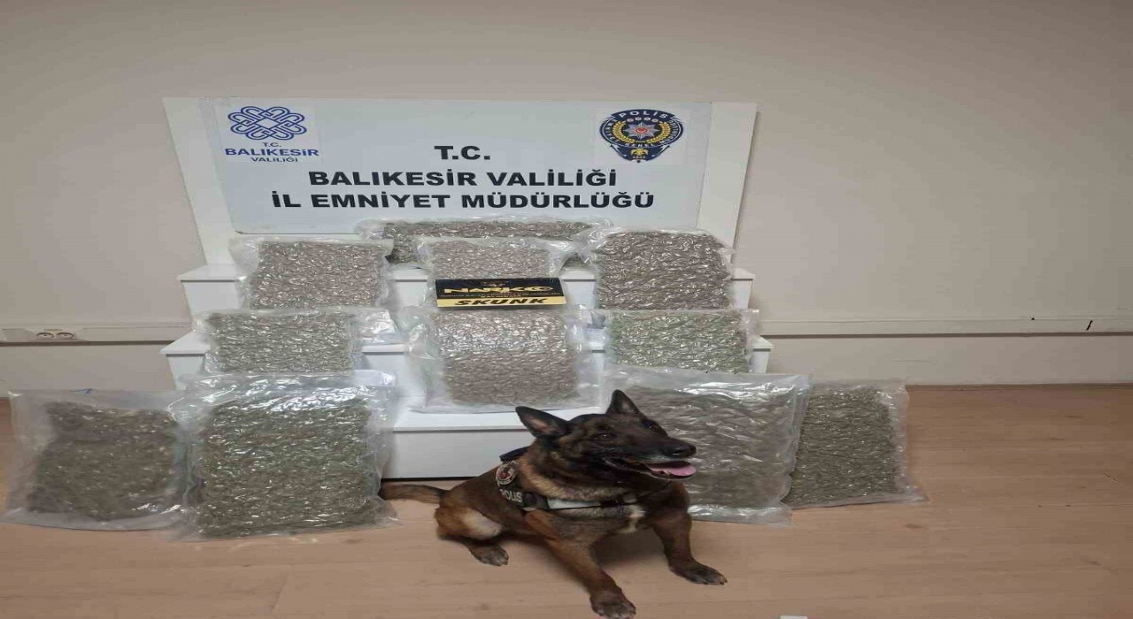 Balıkesirde 12 kilo esrar ele geçirildi
