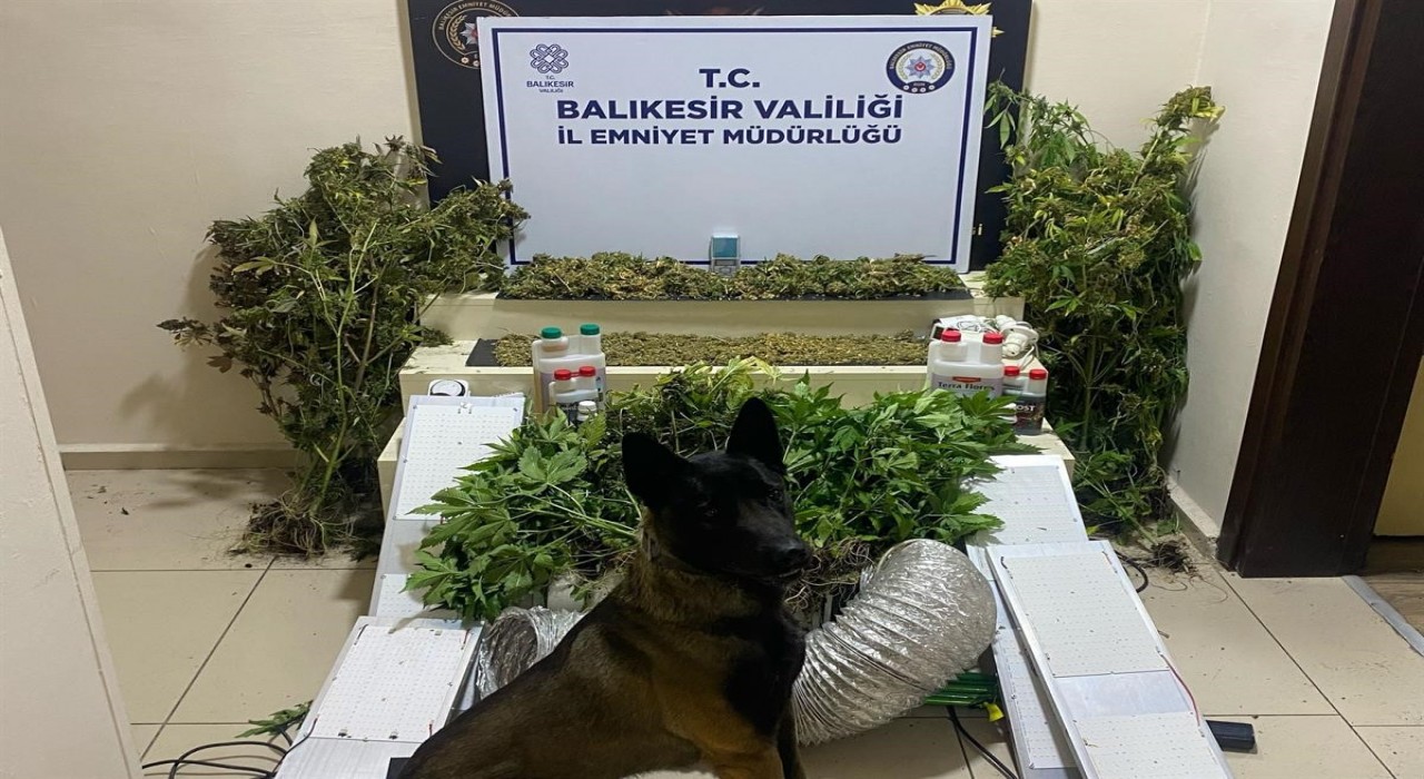 Bandırmada zehir tacirlerine geçit yok: 1 gözaltı