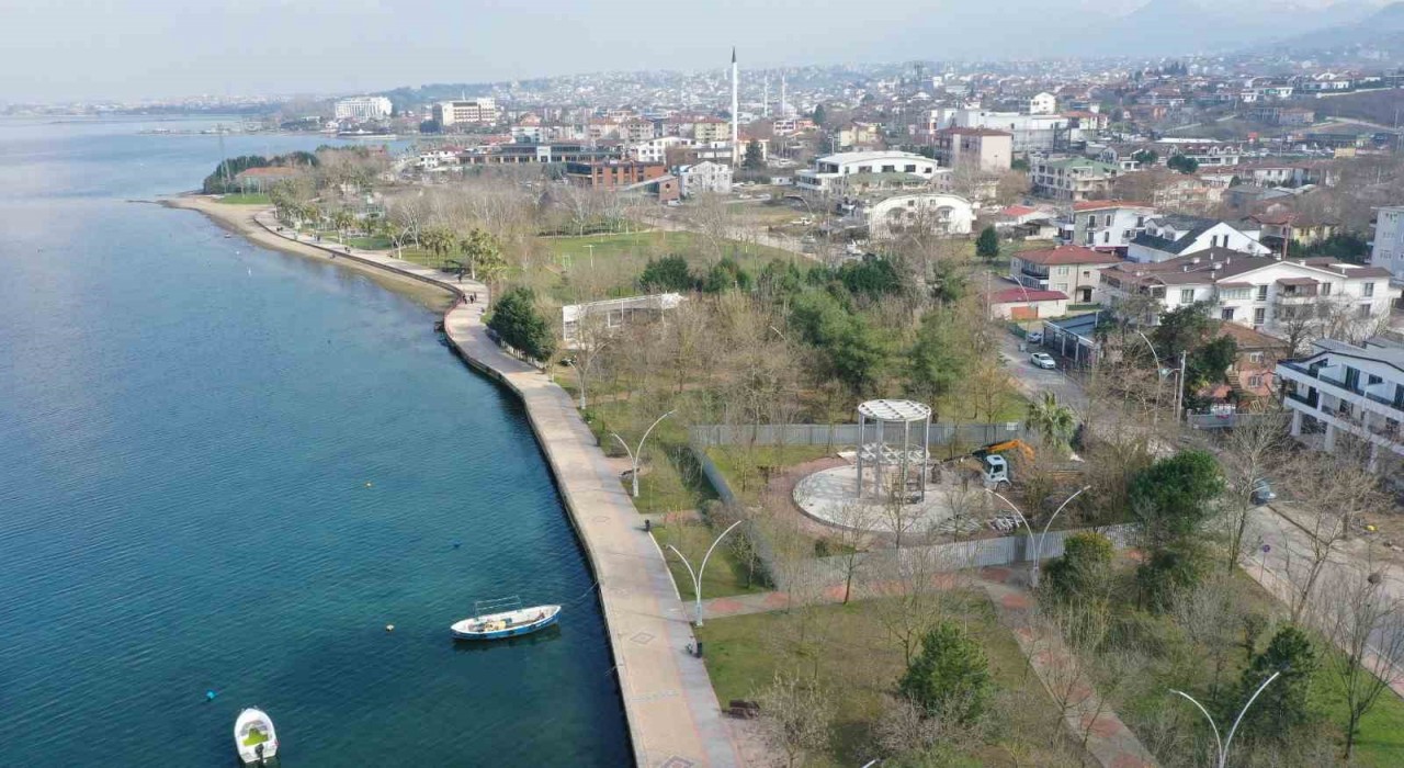 Başiskeleye manzaralı kitap kafe