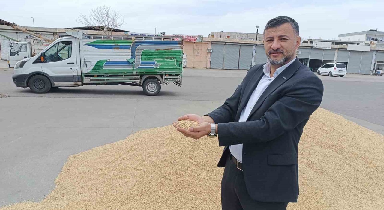 Batmanda kuralık endişesi