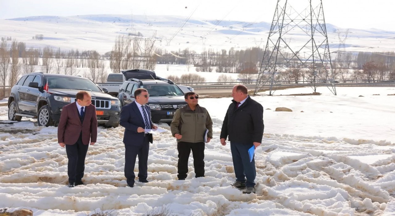 Bayburtta sahipsiz sokak hayvanları için çalışma başlatıldı