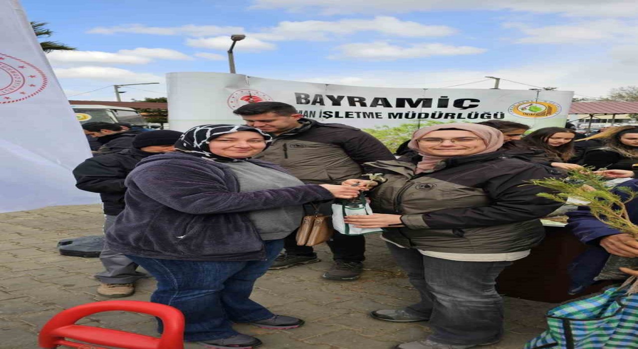 Bayramiçte 1450 fidan dağıtıldı