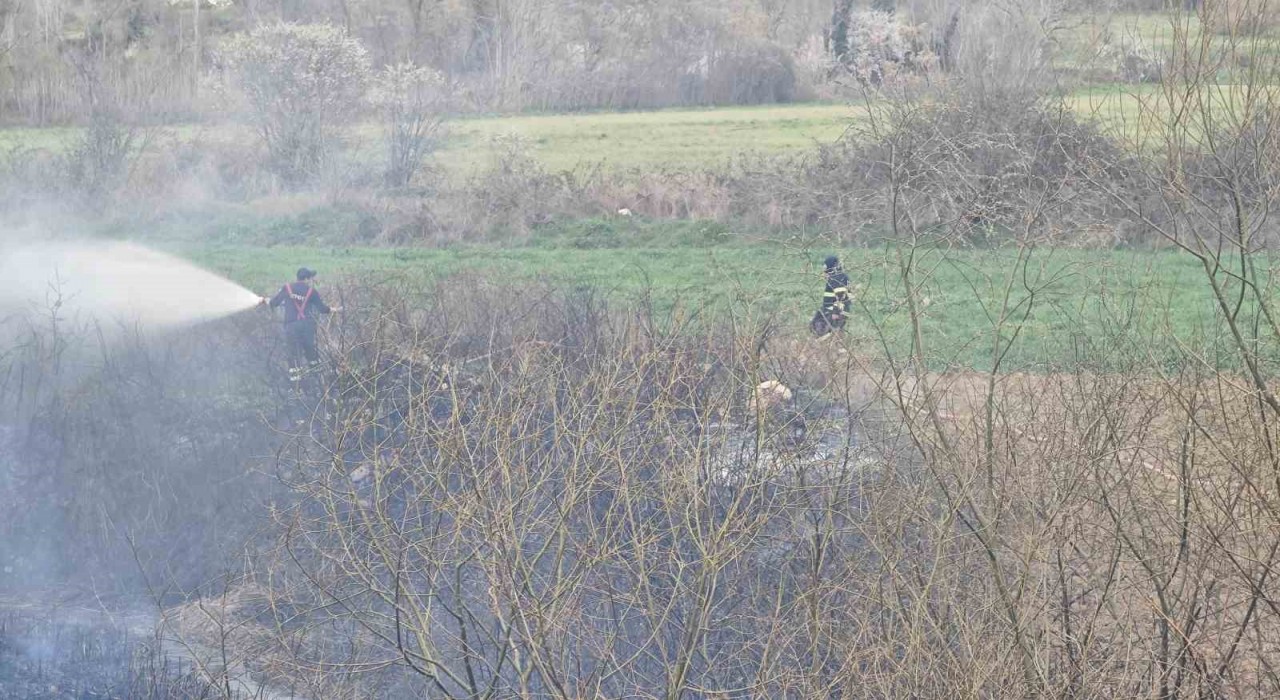 Bilecikte arazi yangını