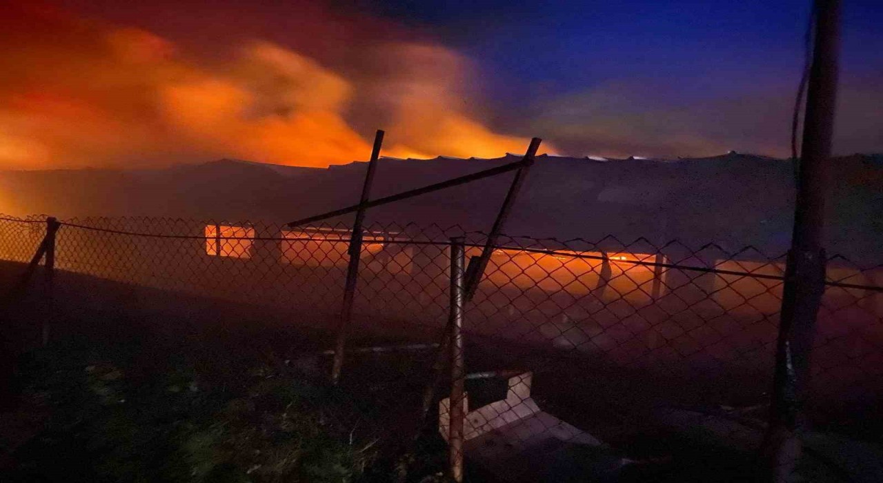 Bilecikte tavuk çiftliğinde korkutan yangın