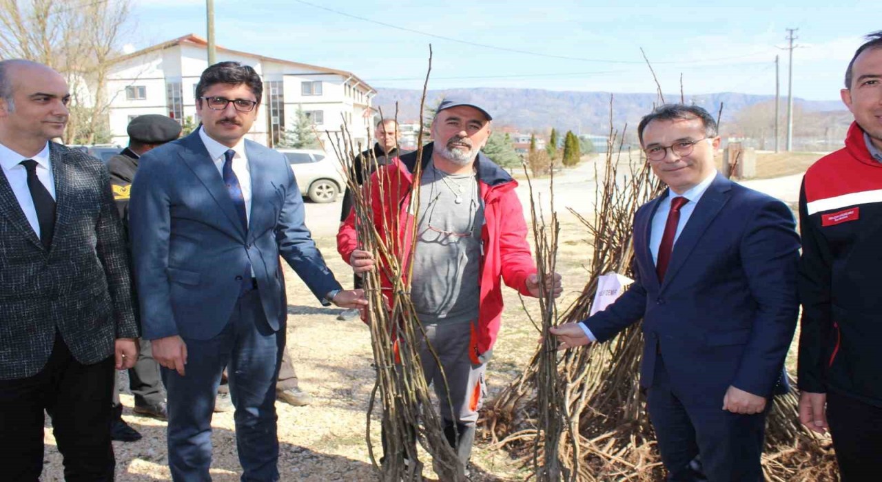 Boluda geleceğin fidanları yeşermeye devam edecek