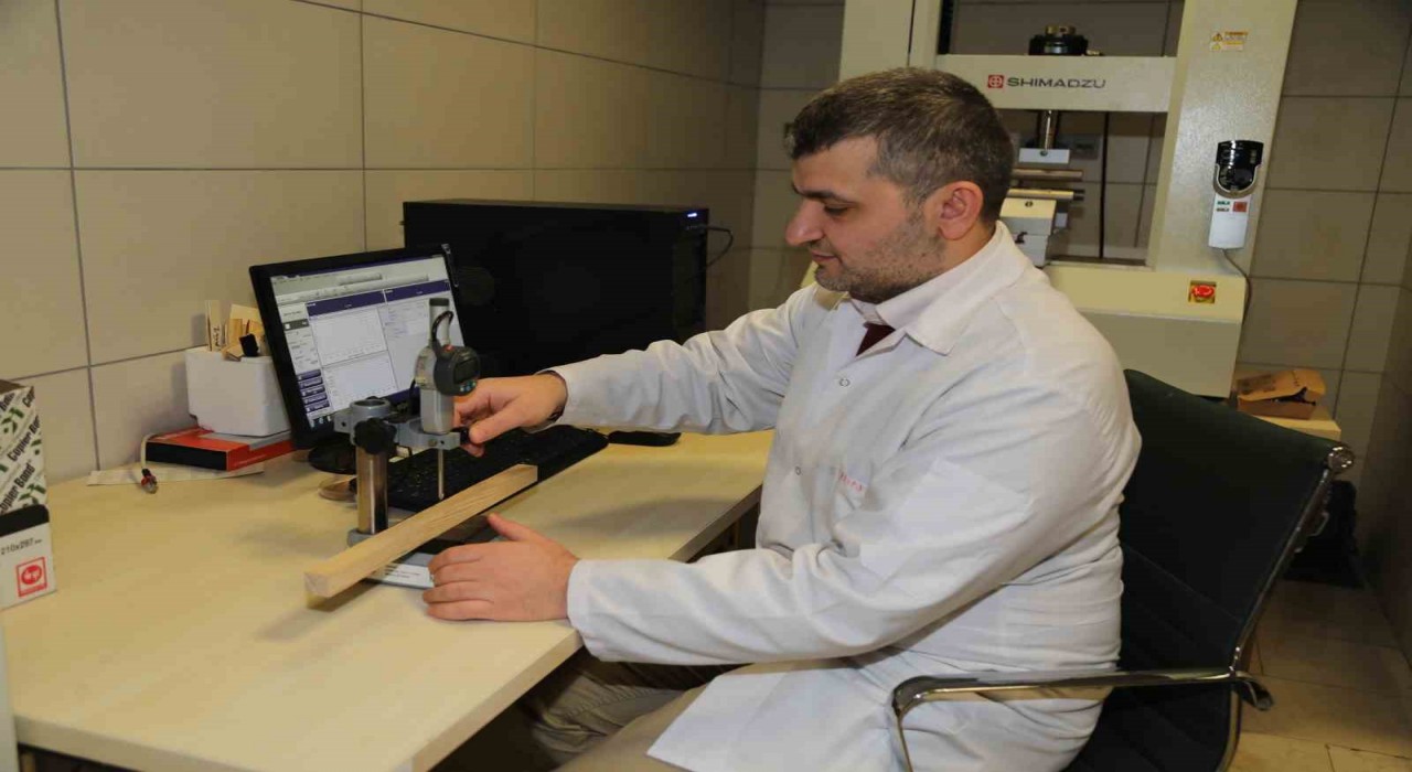 BTÜden yağmur ormanlarını koruyacak çalışma