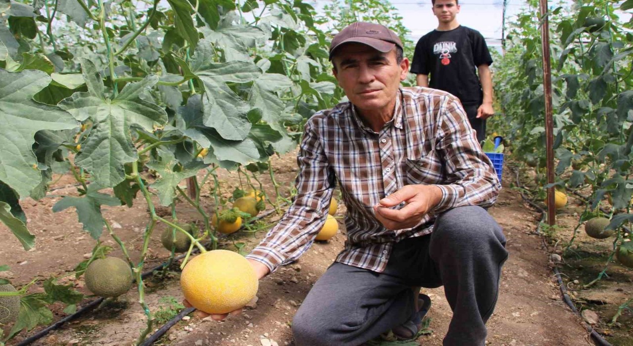 Bu mevsimde olmaz dediler, 2 ton hasat yapıp kilosunu 200 TLden sattı