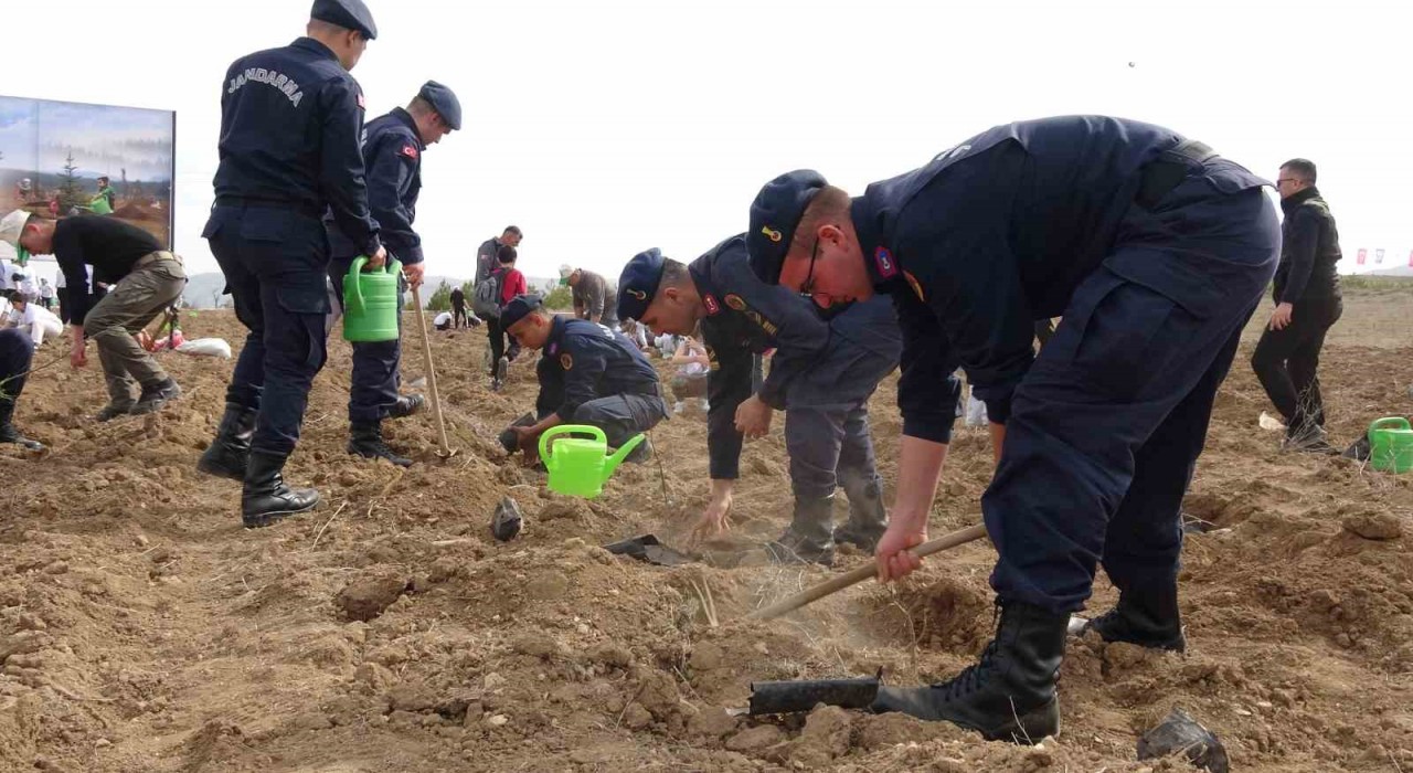 Burdurda doğanın lezzeti ormanda saklı diyerek bin 600 fidan toprakla buluşturuldu