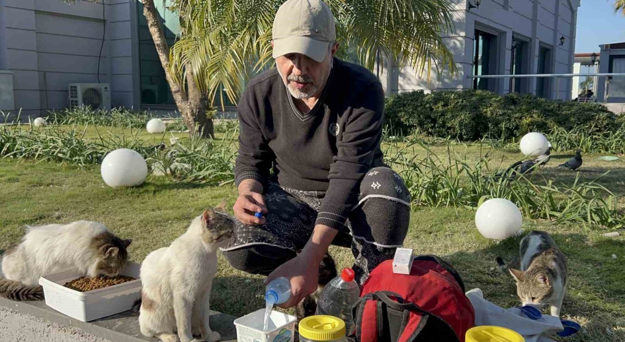 Çadırda yaşadığı günlerden etkilendi, günde 8 kilometre yol katederek 100den fazla kedi besliyor