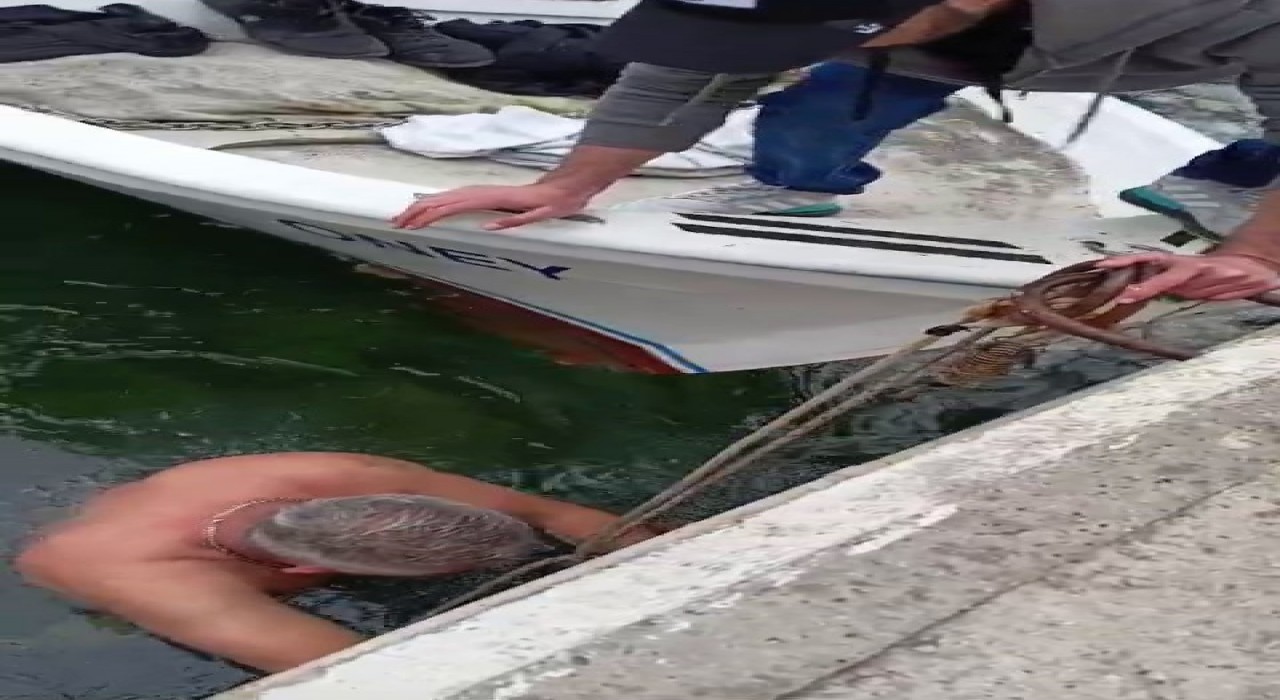 Çanakkalede denize düşen kediyi, balıkçı kurtardı