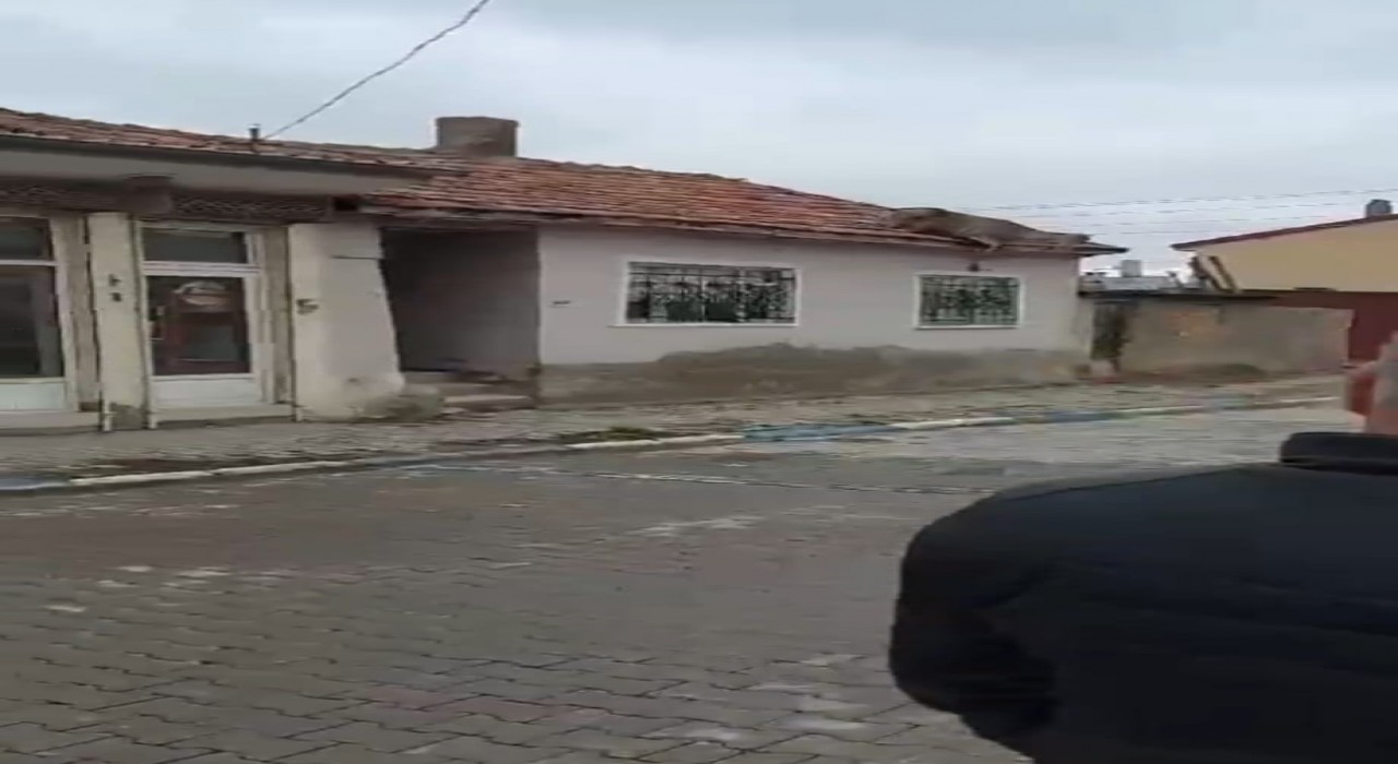 Çatıda kızıl geyiği görenler neye uğradığını şaşırdı