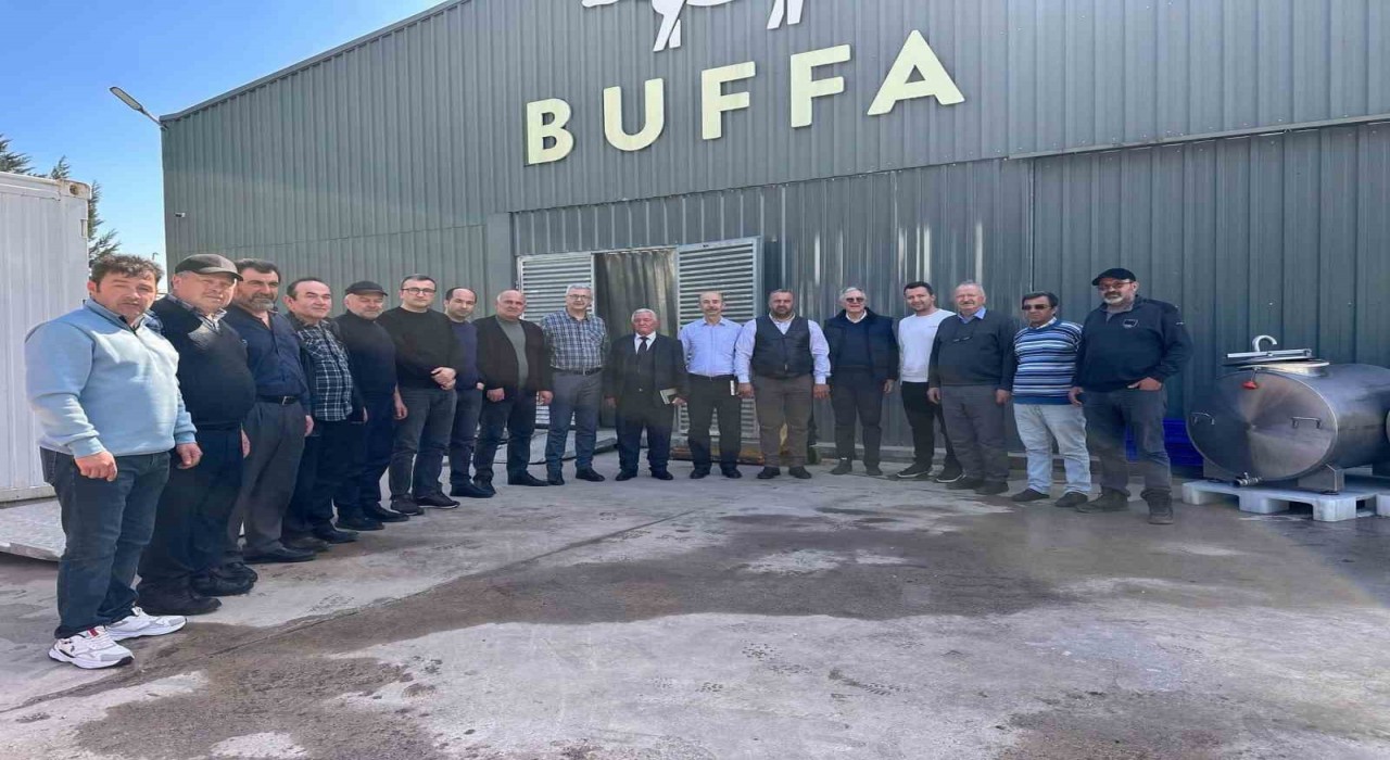 Çaycumada Manda Yetiştiriciliği İçin Araştırma Gezisi Düzenlendi