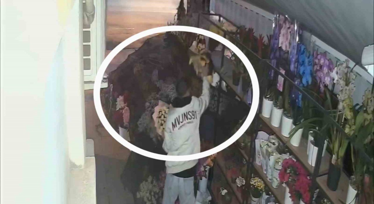 Çiçekçiden 5 bin liralık çiçek çalan hırsız güvenlik kamerasına yakalandı