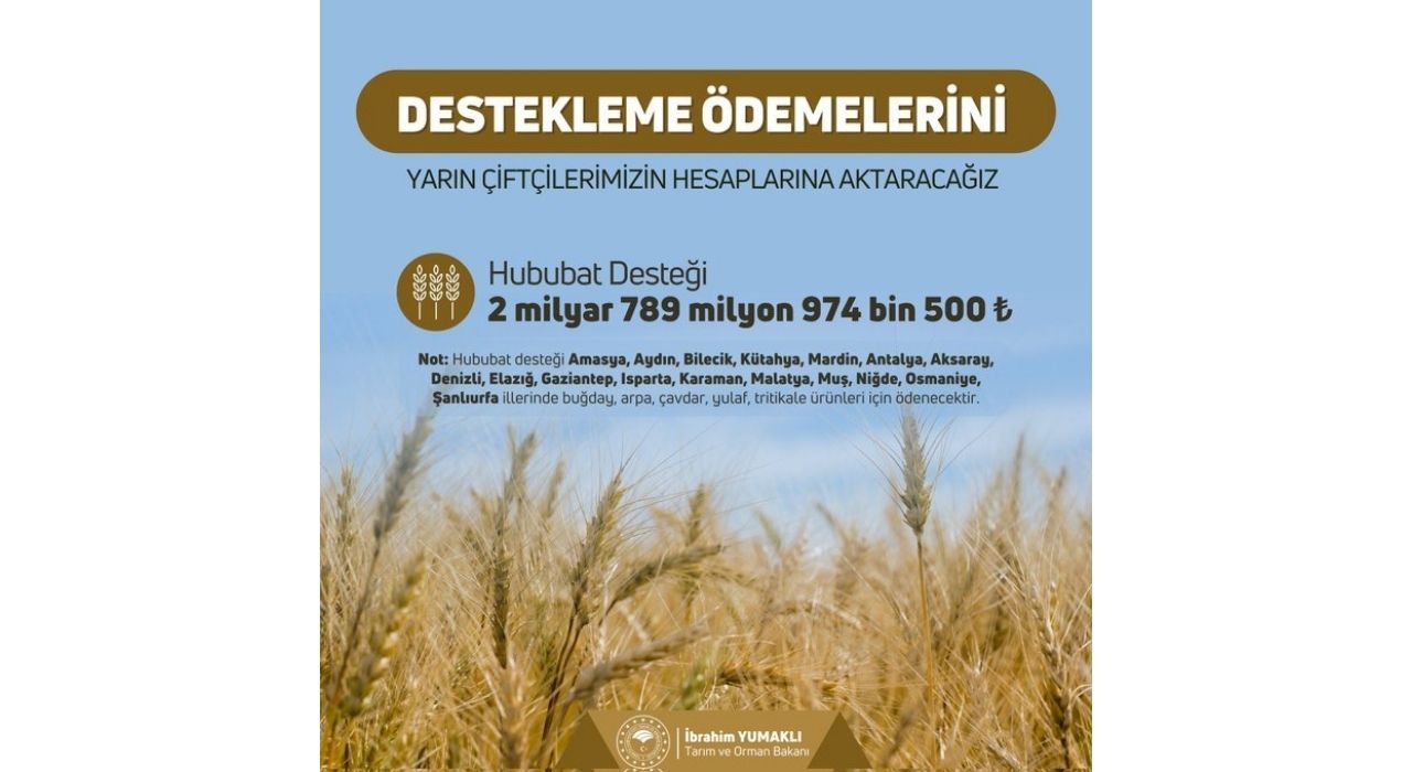 Çiftçilere Müjde! 17 İlde Hububat Destekleme Ödemeleri Hesaplara Yatırılıyor