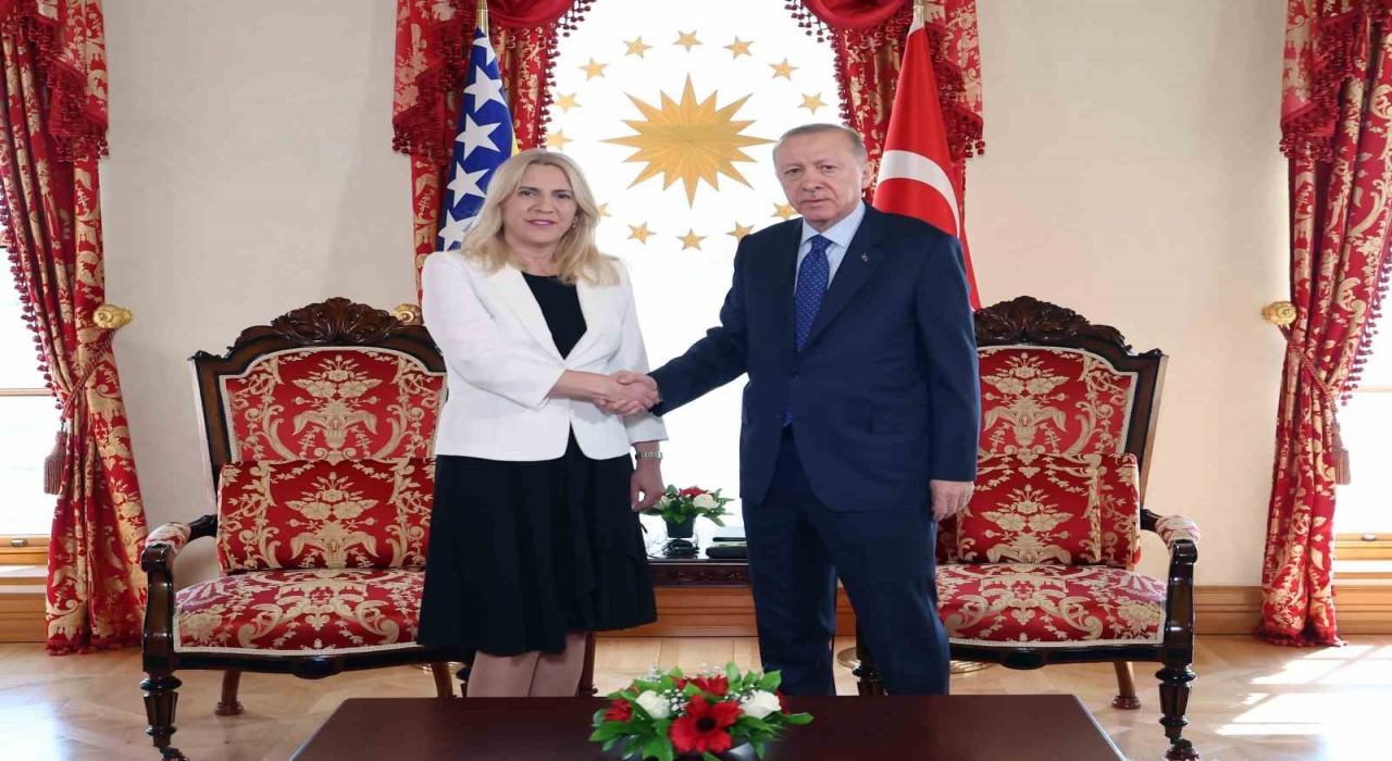 Cumhurbaşkanı Erdoğan, Bosna Hersek Devlet Başkanlığı Konseyi Başkanı Sviyanoviç ile görüştü