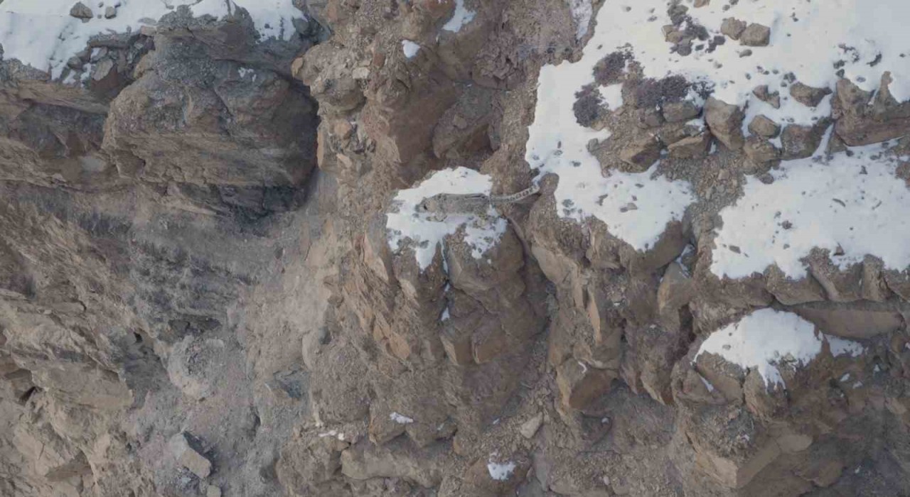 Dağların Hayaletini görüntülemek için Himalaya Dağlarında 16 günlük zorlu serüven
