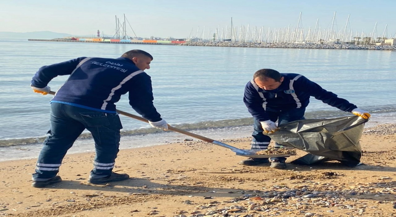 Didimde Lodosun izleri siliniyor