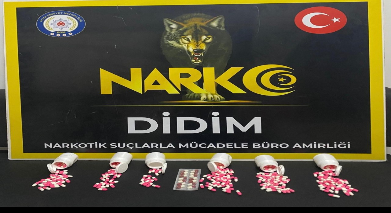 Didimde narkotik polisleri uyuşturucuya geçit vermedi