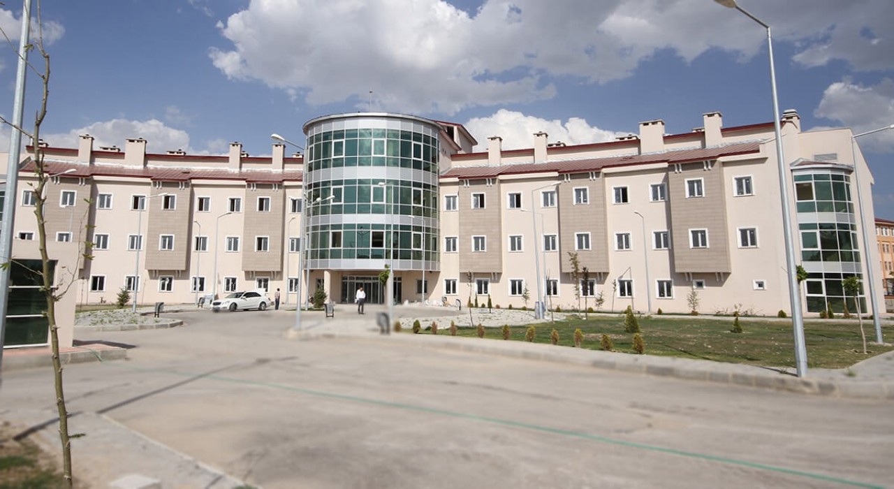 Diyadine yeni 4 doktor atandı