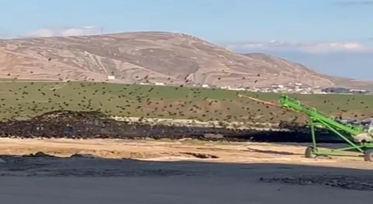Diyarbakırda binlerce kuş türü buğday silosu etrafında toplandı