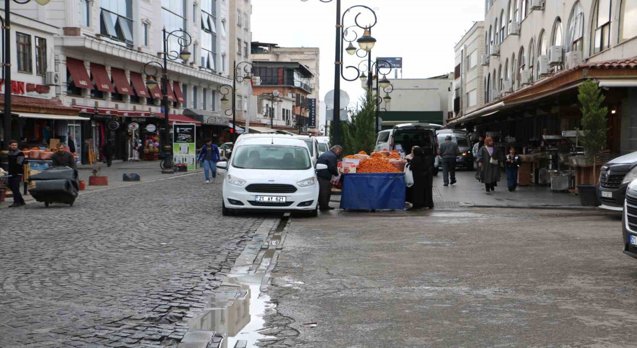 Diyarbakırda tarihi mekanlardaki başıboş köpekler tedirgin ediyor