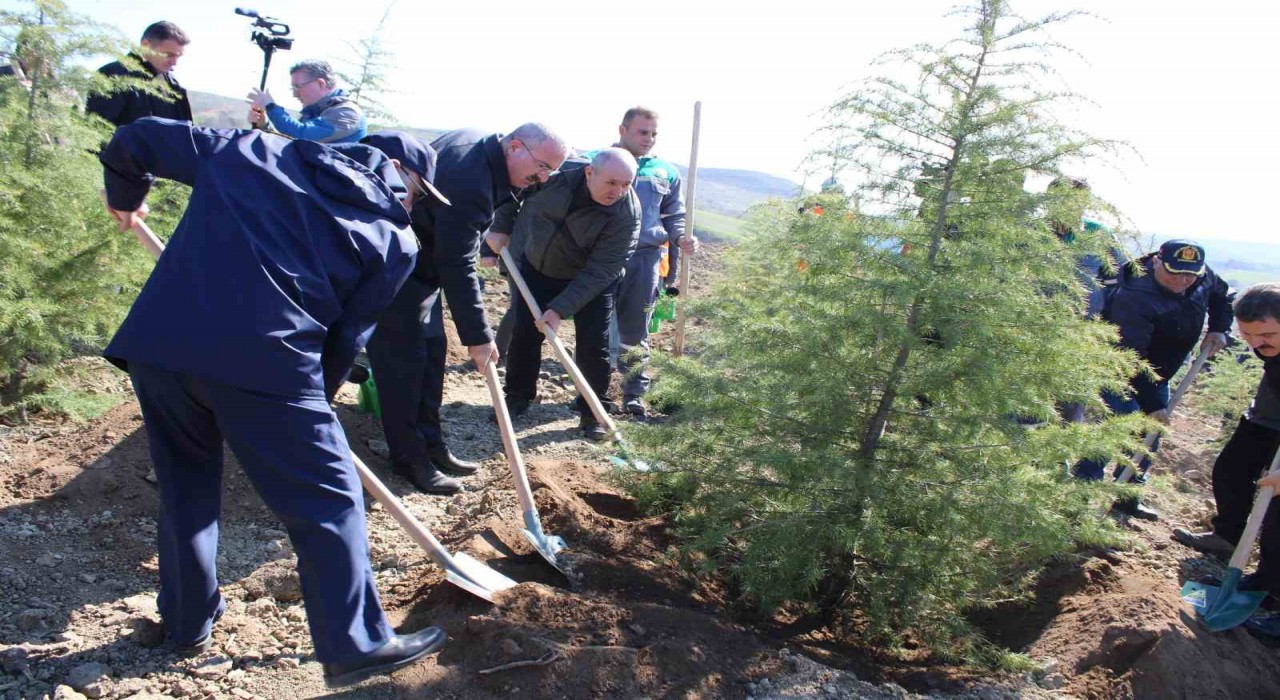 Dünya Ormancılık Gününde Çanakkalede 4 bin fidan toprakla buluştu