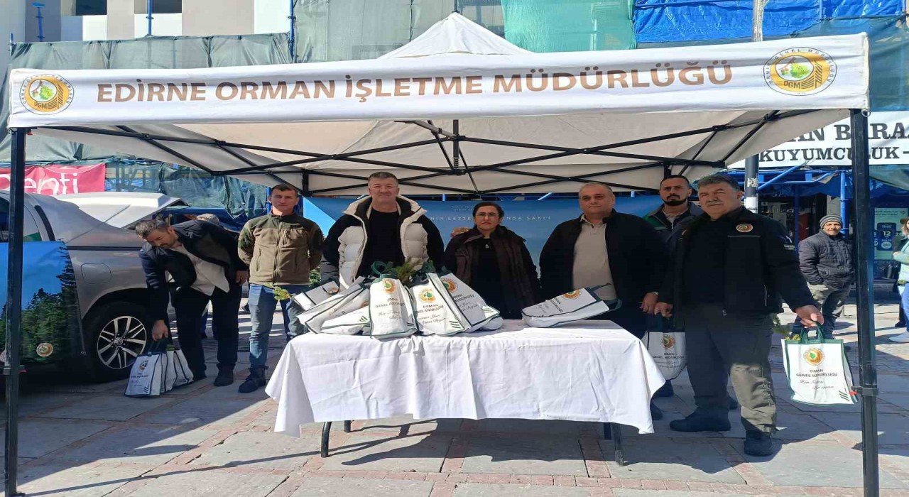 Edirnede çam fidanı dağıtıldı