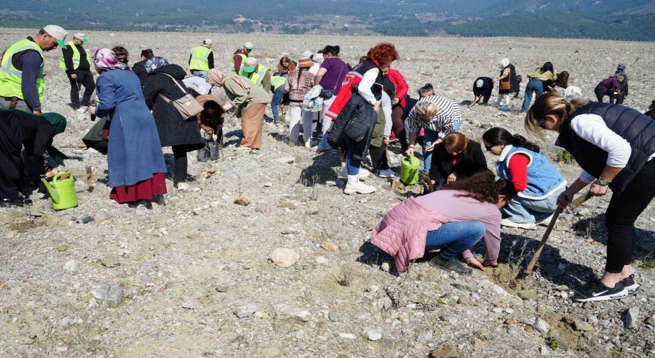 Edremitte Aile Yılı kapsamında lavanta fidanı dikildi