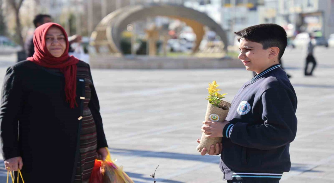 Elazığda 23 bin fidan dağıtıldı