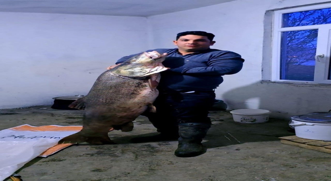 Elazığda dev turna balığı yakalandı: Ağırlığı 60 kilogram