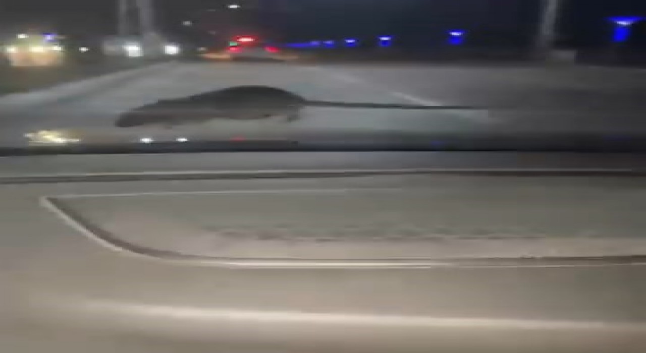 Elazığda seyir halindeki otomobilin ön camına fare kondu