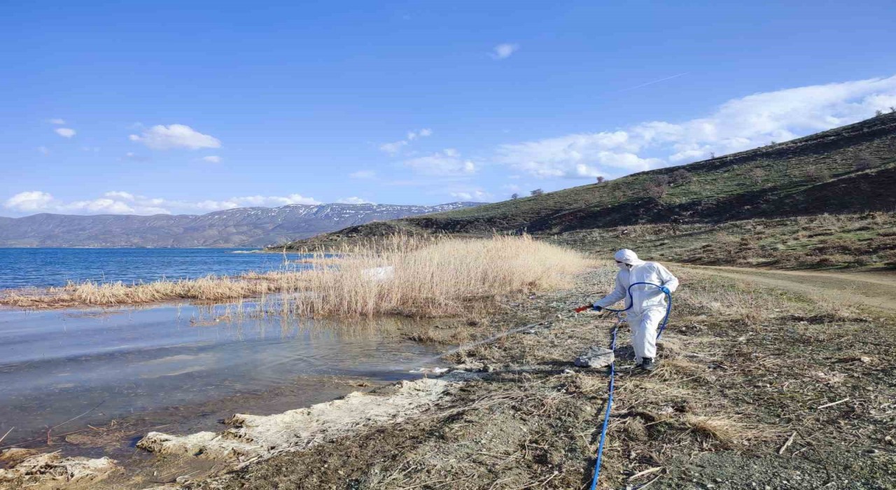 Elazığda sivrisinek ve karasineklerle mücadele sürüyor