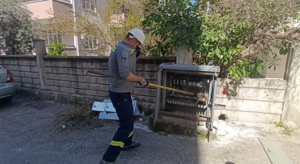 Elektrik baksına giren kedi akıma kapılarak telef oldu