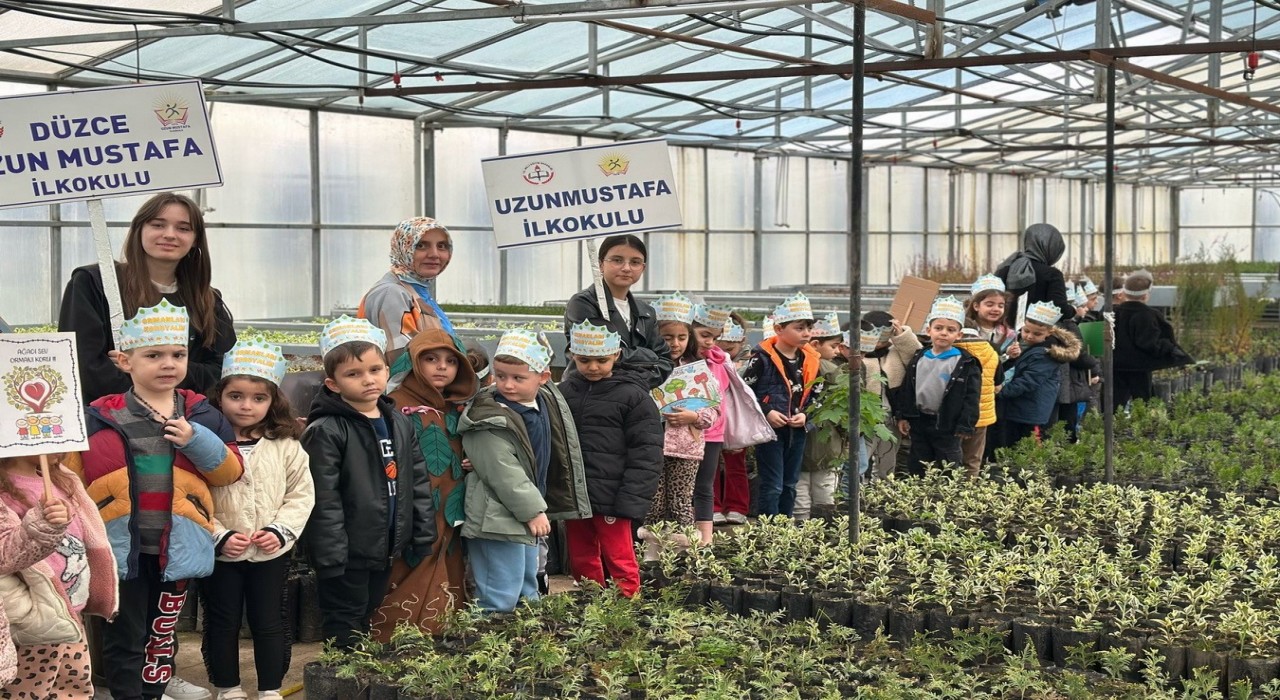 Enerji dostu mavi yeşil okul