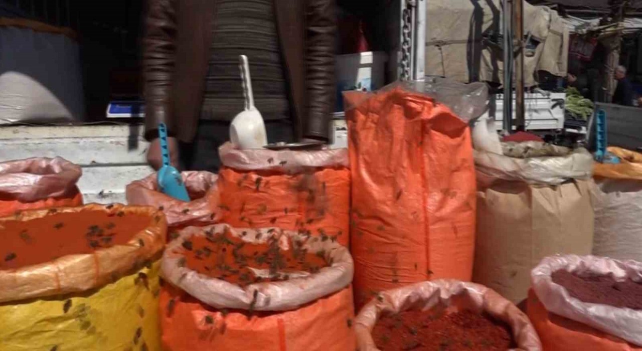 Ercişte bal arıları baharatçıya akın etti