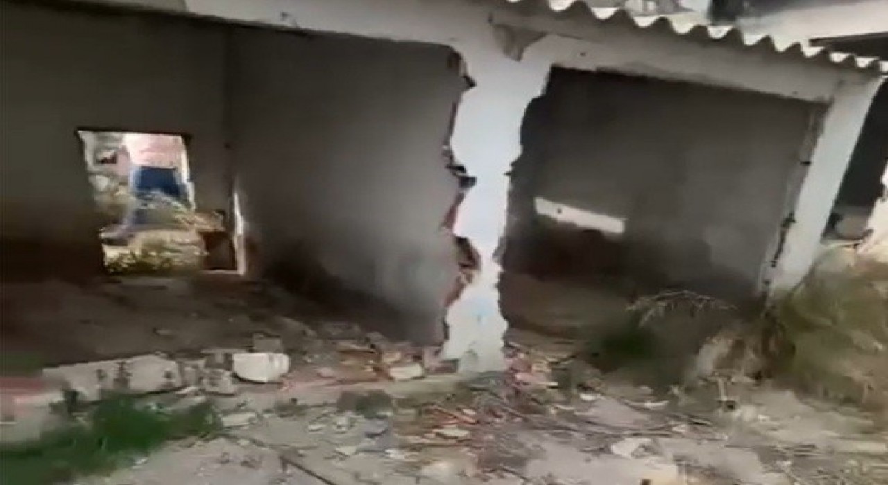 Erdekte barınak çilesi: Belediyenin ilgisizliği pes dedirtti
