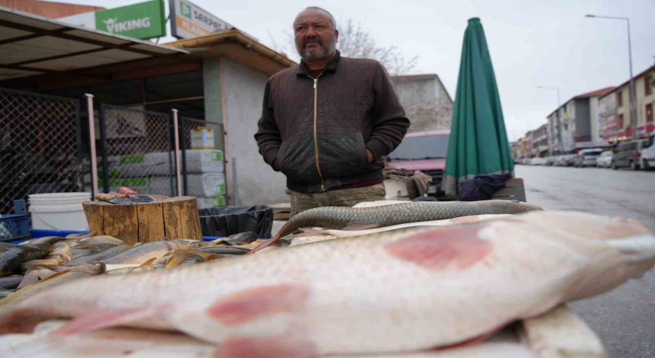 Erzincanda Fırat balığı 250 TLden alıcı buluyor