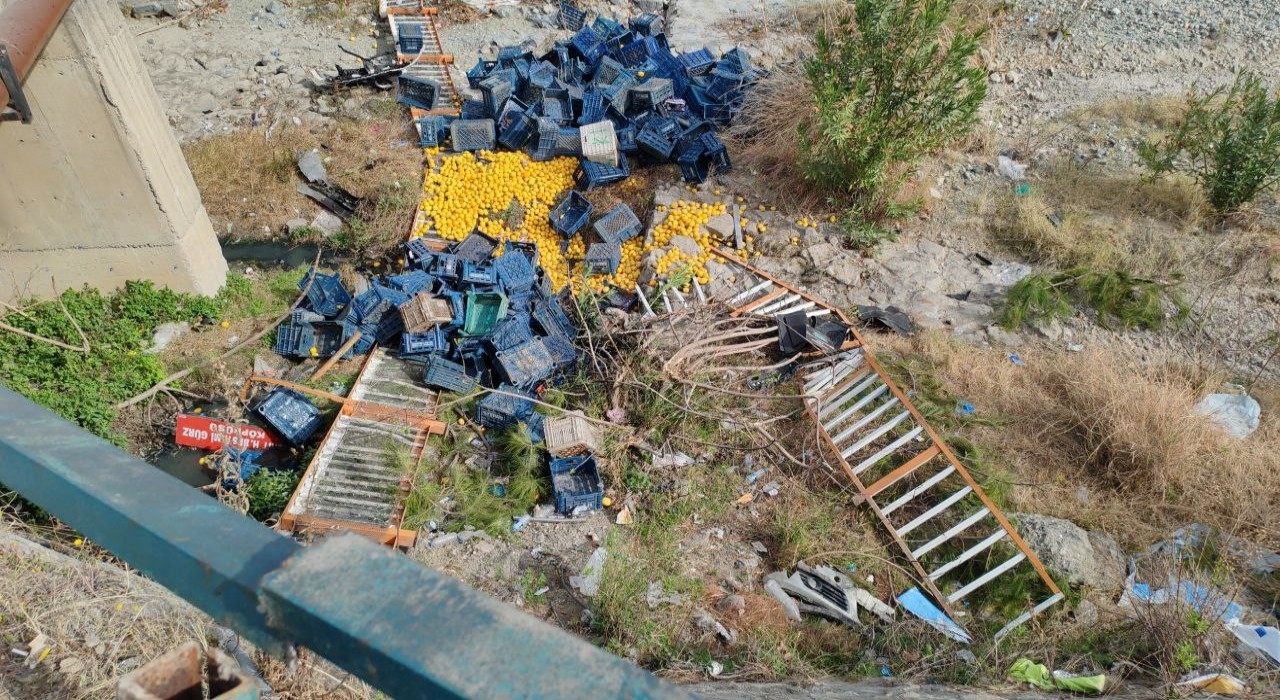 Erzinde limon yüklü kamyonet çarpışmayla dereye devrildi
