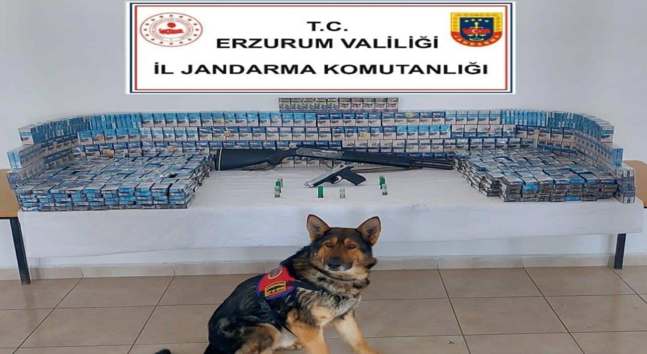 Erzurumda jandarmadan kaçakçılık operasyonu