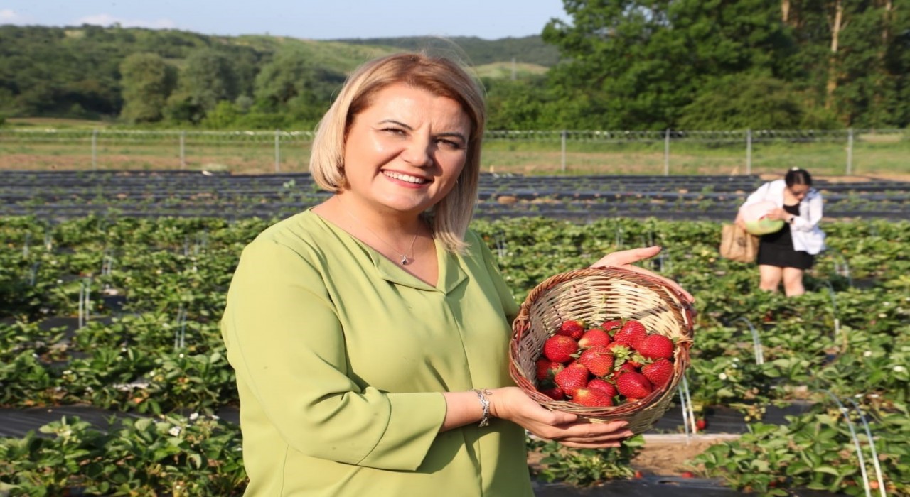 Eski özel kalem müdüründen Fatma Kaplan Hürriyet için şok iddialar: