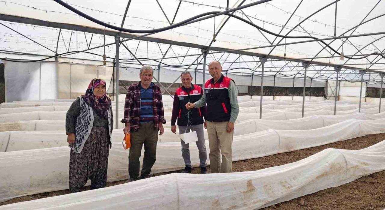 Eskişehirde domates seralarında zararlı takibi başladı