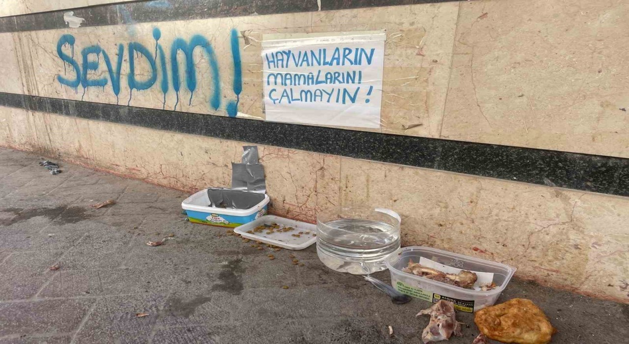 Eskişehirde ‘Hayvanların mamalarını çalmayın! uyarısı