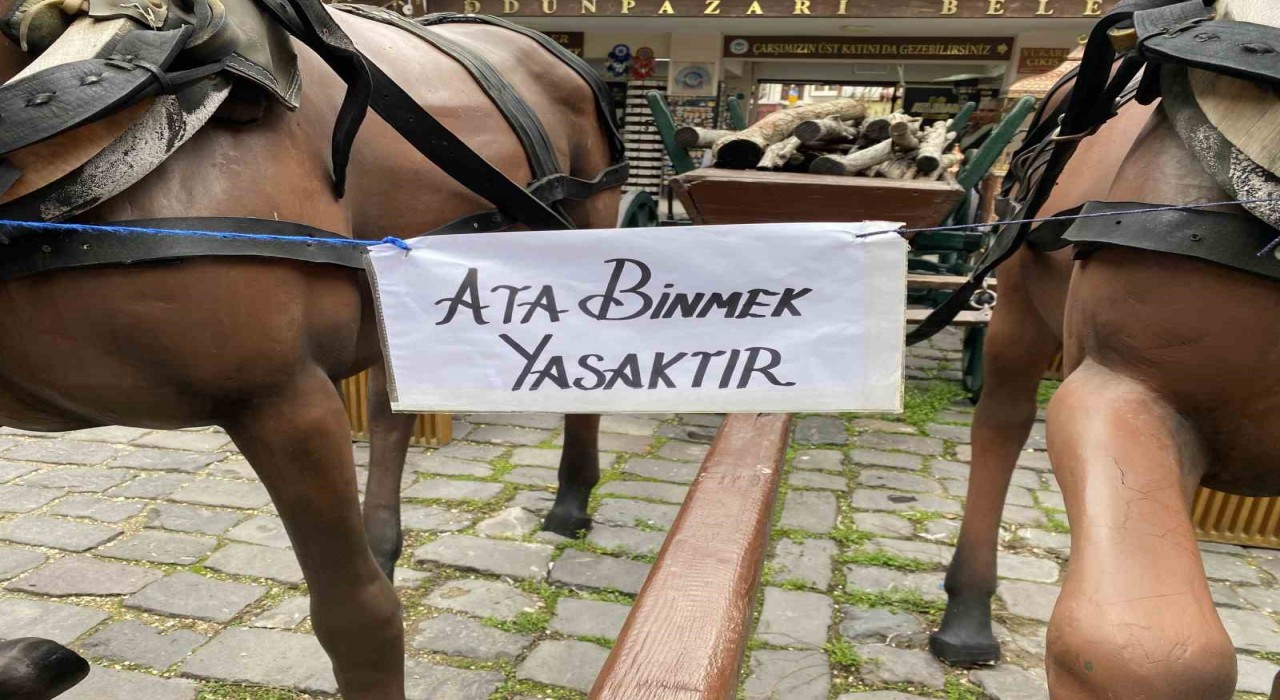 Eskişehirdeki Ata binmek yasaktır uyarısı dikkat çekiyor