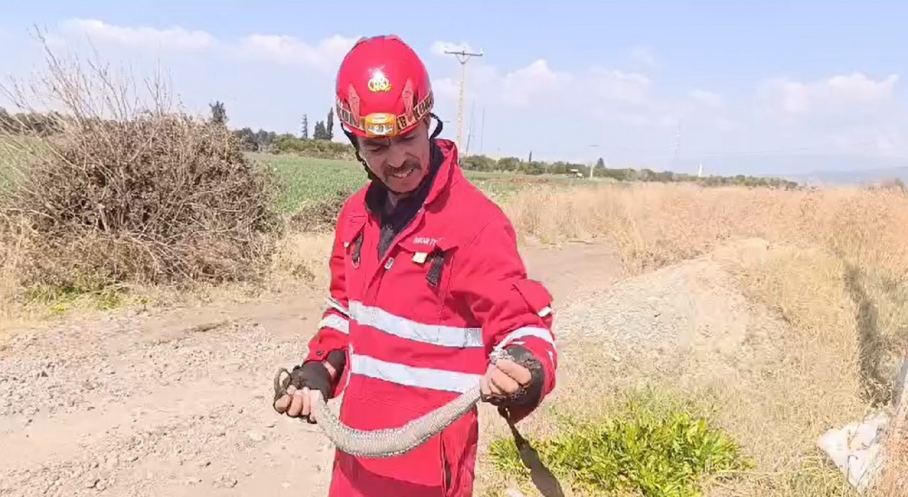 Evin bahçesine giren yılanı itfaiye yakaladı